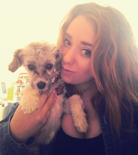 Lartdanstoutessesformes