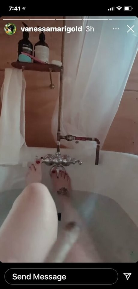 Vanessa Dora Lavorato