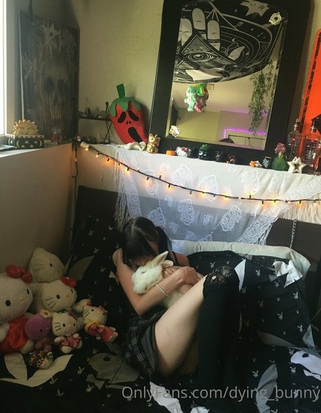 Dyingbunny