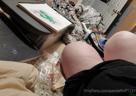 Pandafluff1137