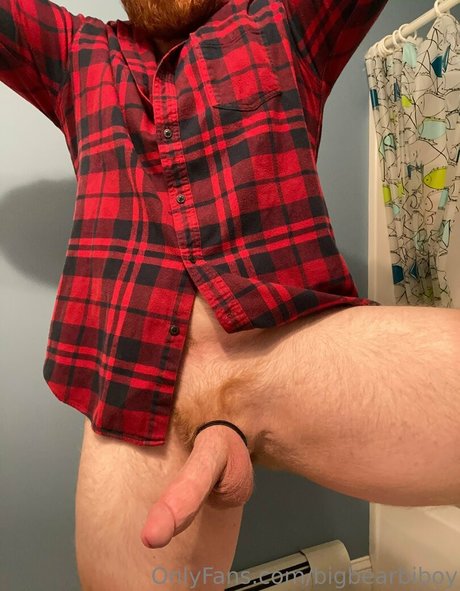 Bigbearbiboy