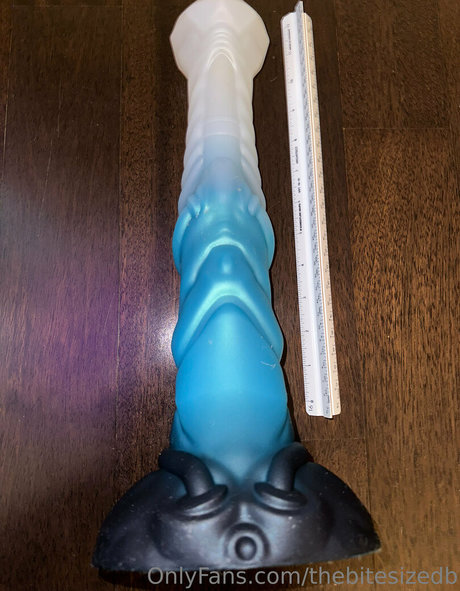 The Bite Sized Bitch