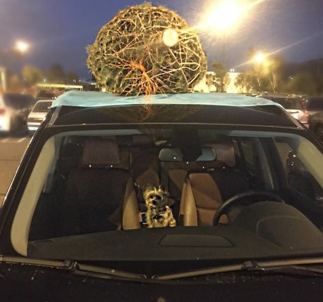 Aimee Richelle Teegarden