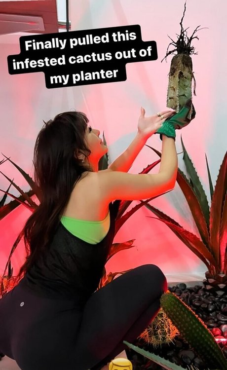 Sssniperwolf