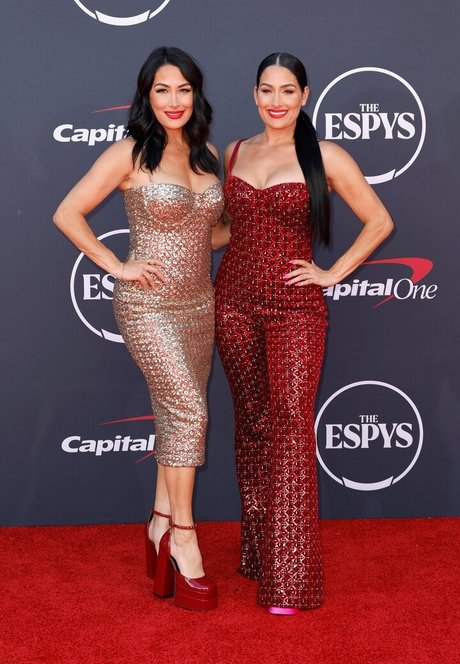 The Bella Twins