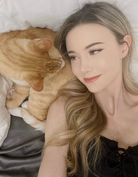 Dizzykitten