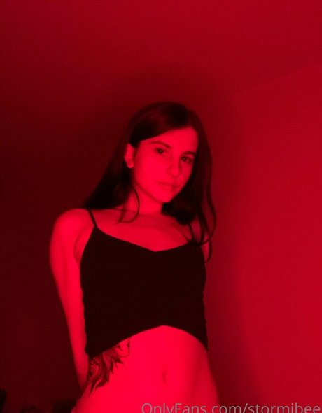 Stormibee