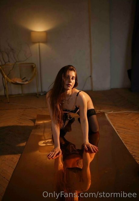 Stormibee