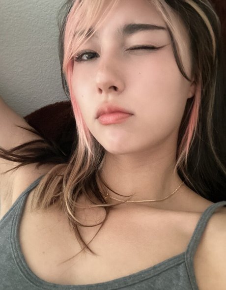 Amiechikin