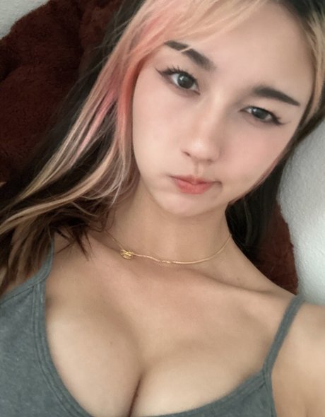 Amiechikin