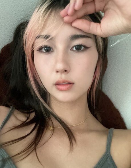Amiechikin