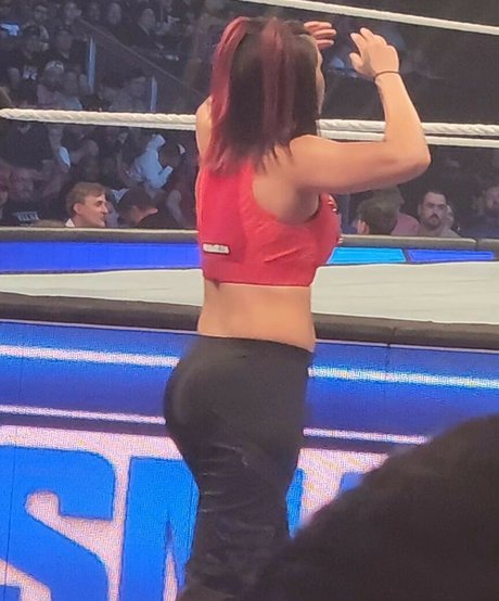 Bayley