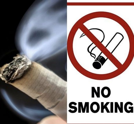 Freeswissladyschweiz