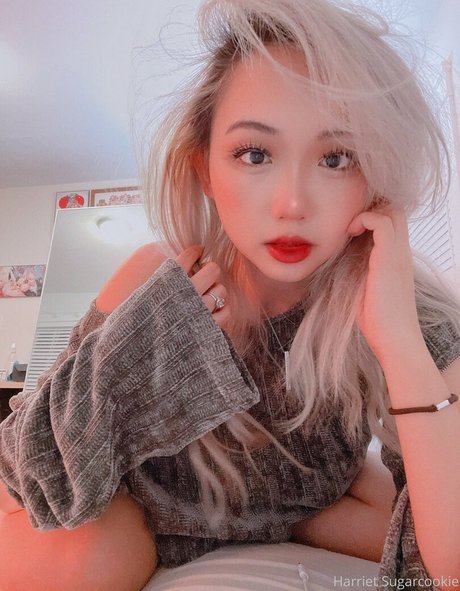 Harrietsugarcookie