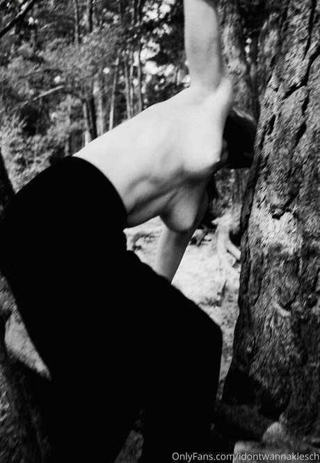 Idontwannaklesch
