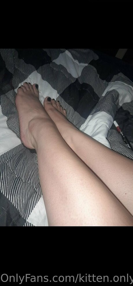 Kittenonlyfanscom