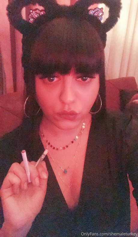 Shemaleturkey