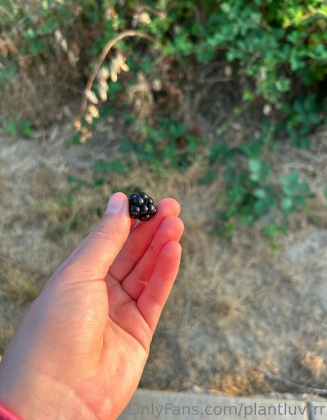 Plantluvrrr