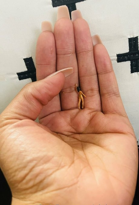 Alpha4envy  nude leaked OnlyFans photo