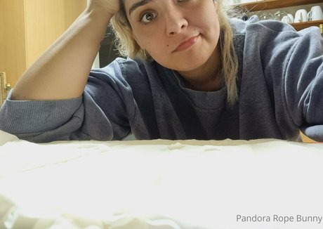 Pandorabunny
