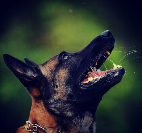 Evparrishsouthernmil