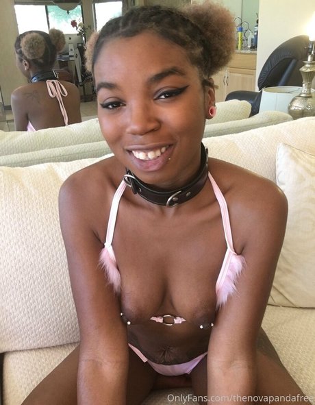 Thenovapandafree