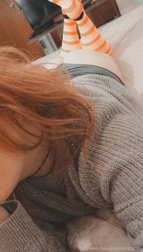 Gingerkat420free