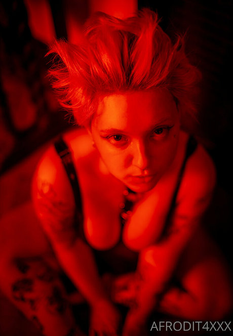 Afrodit4x