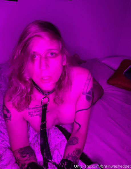 Brainwashedpet