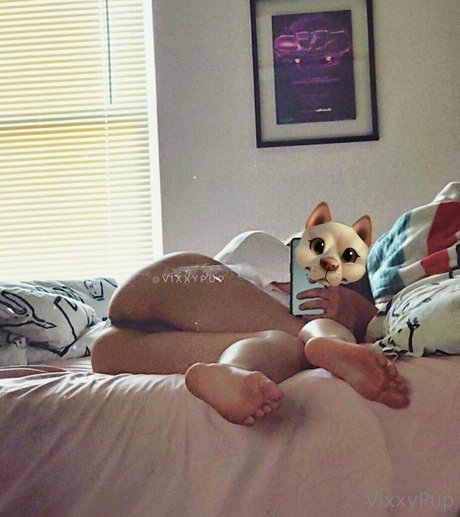 Vixxypup