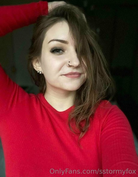 Sstormyfox