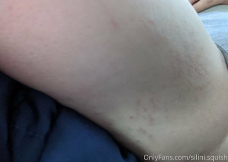 Silinisquish