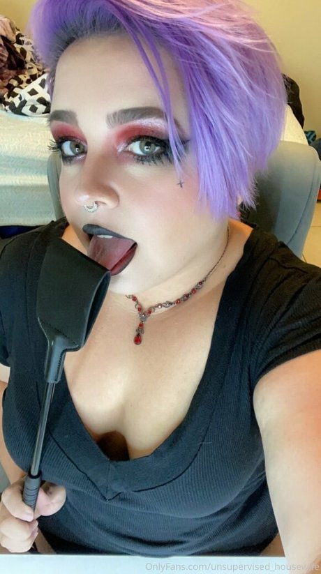 Unsupervisedhousewife