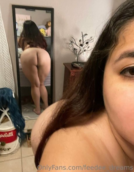 Feedeedreams