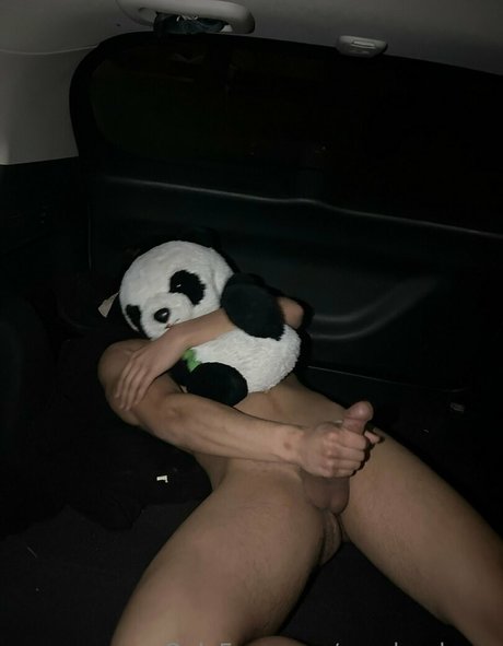 Pandaslover