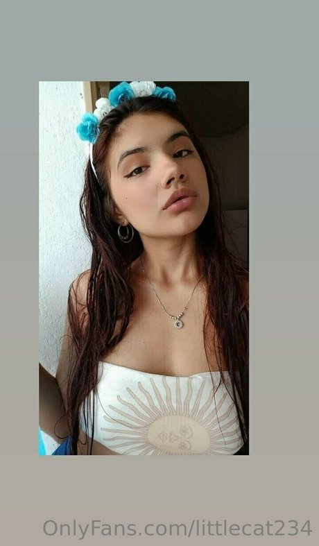 Littlecat234