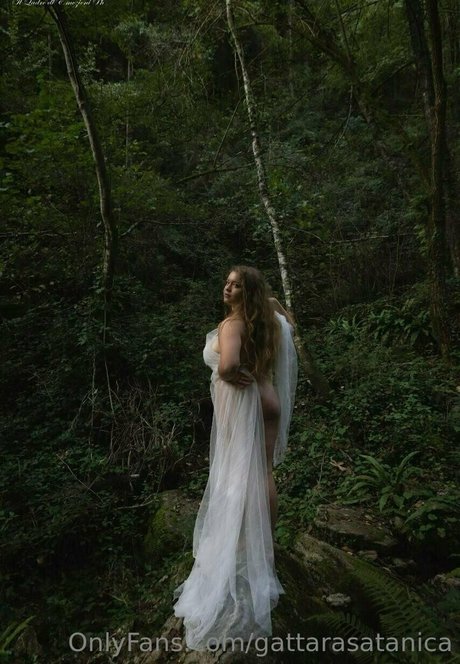 Gattarasatanica
