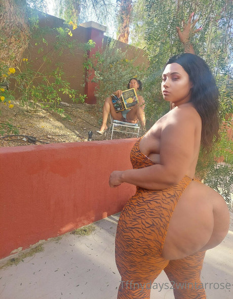 Tffnydays2wintarrose