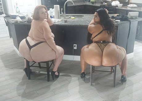 Tffnydays2wintarrose