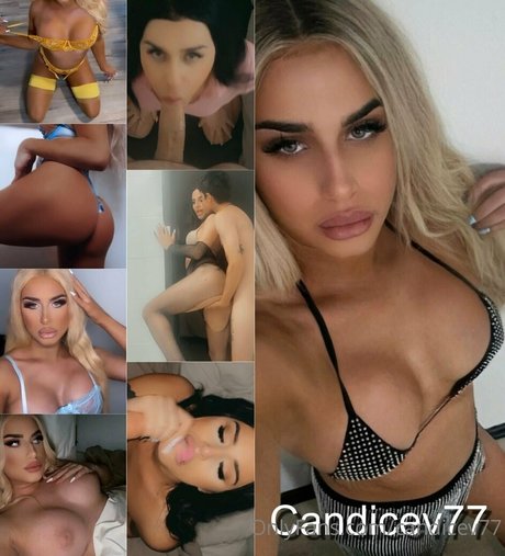 Candicev77