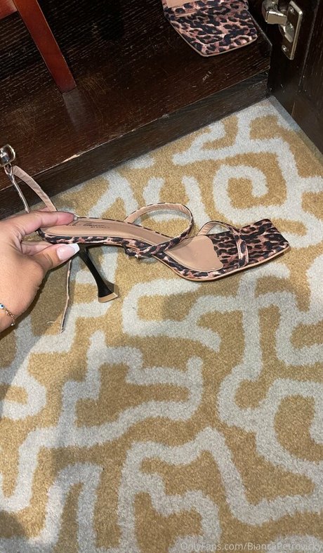 Biancapetrovickyoficial