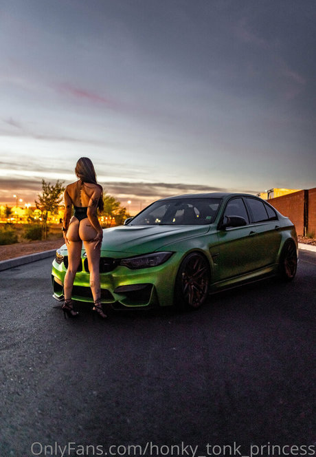 Honkytonkprincess